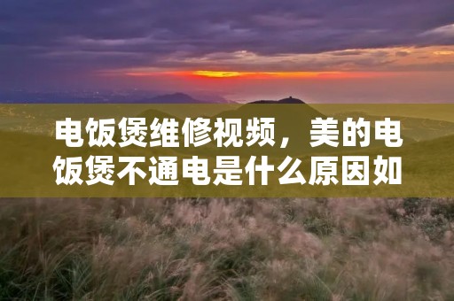 电饭煲维修视频，美的电饭煲不通电是什么原因如何维修