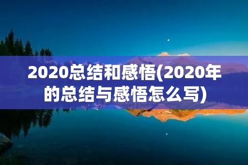 2020总结和感悟(2020年的总结与感悟怎么写)