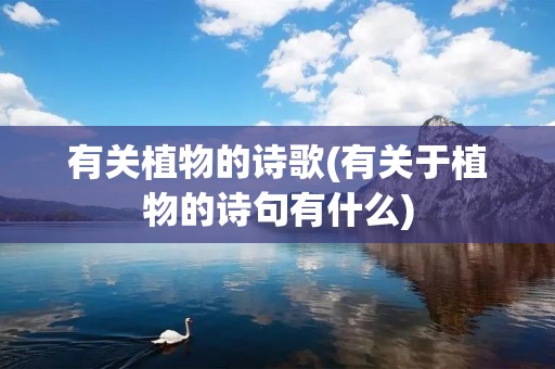 有关植物的诗歌(有关于植物的诗句有什么)