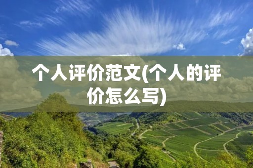 个人评价范文(个人的评价怎么写)
