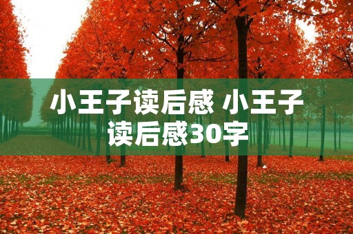 小王子读后感 小王子读后感30字