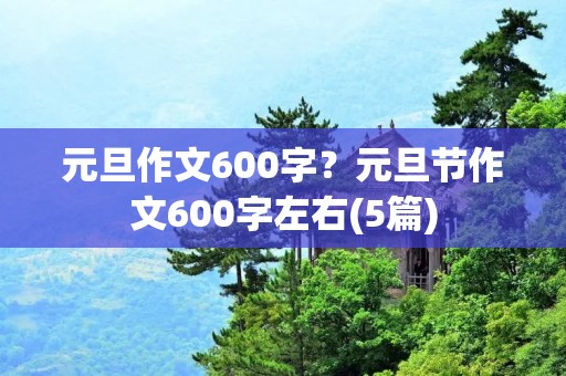 元旦作文600字？元旦节作文600字左右(5篇)