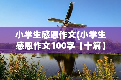 小学生感恩作文(小学生感恩作文100字【十篇】)