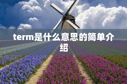 term是什么意思的简单介绍