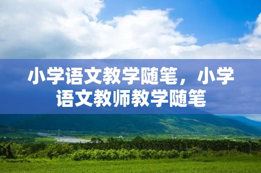 小学语文教学随笔，小学语文教师教学随笔
