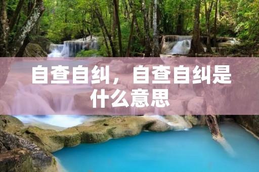 自查自纠,自查自纠是什么意思