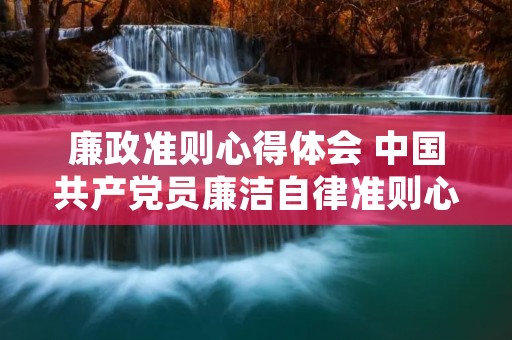 廉政准则心得体会 中国共产党员廉洁自律准则心得体会10篇