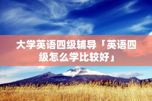 大学英语四级辅导「英语四级怎么学比较好」