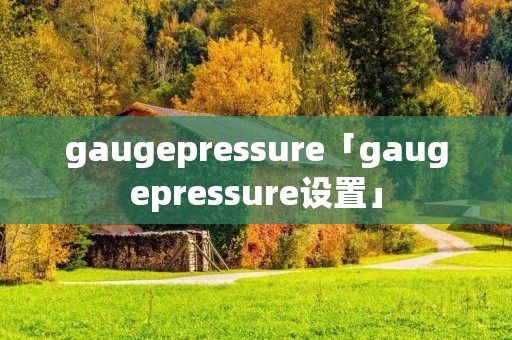 gaugepressure「gaugepressure设置」 gaugepressure「gaugepressure设置」