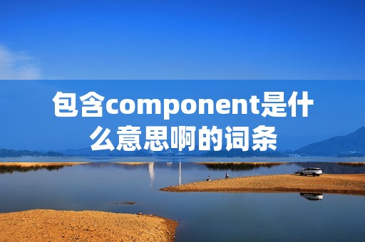 包含component是什么意思啊的词条
