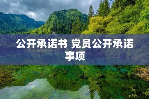 公开承诺书 党员公开承诺事项
