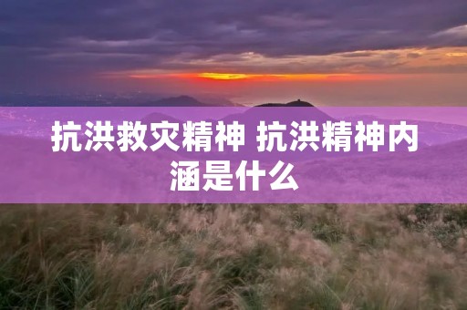 抗洪救灾精神 抗洪精神内涵是什么