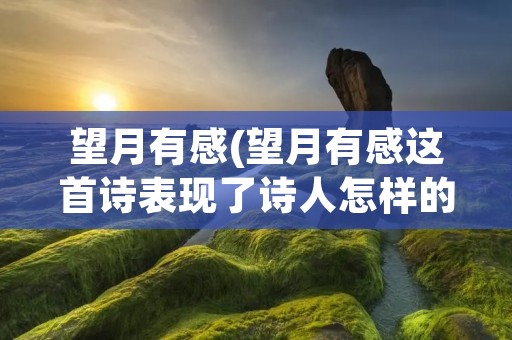 望月有感(望月有感这首诗表现了诗人怎样的思想感情)
