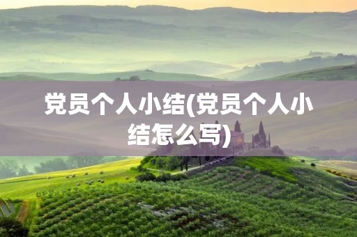 党员个人小结(党员个人小结怎么写)