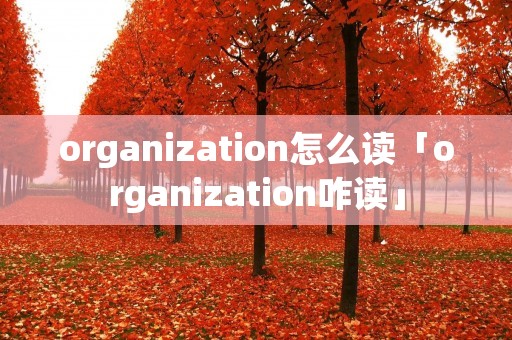 organization怎么读「organization咋读」