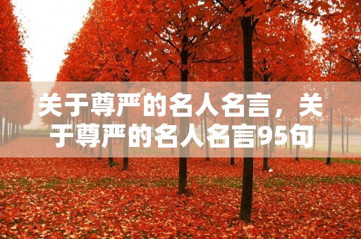 关于尊严的名人名言，关于尊严的名人名言95句