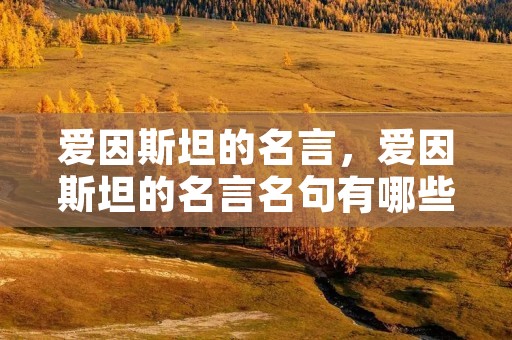 爱因斯坦的名言，爱因斯坦的名言名句有哪些
