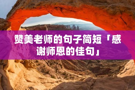 赞美老师的句子简短「感谢师恩的佳句」