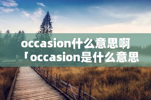 occasion什么意思啊「occasion是什么意思英文」