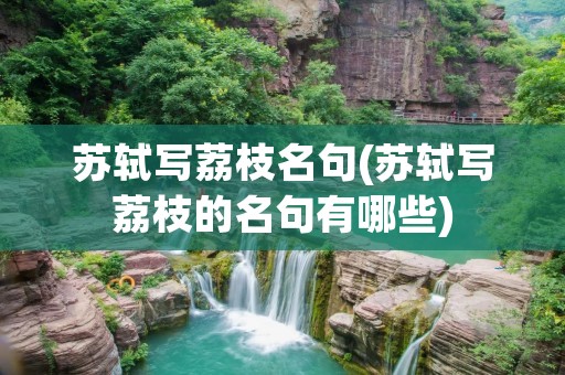 苏轼写荔枝名句(苏轼写荔枝的名句有哪些)