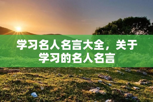 学习名人名言大全,关于学习的名人名言