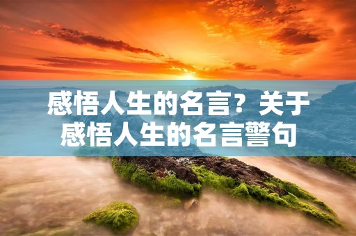 感悟人生的名言？关于感悟人生的名言警句