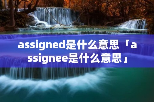 assigned是什么意思「assignee是什么意思」