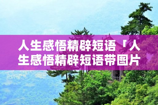 人生感悟精辟短语「人生感悟精辟短语带图片」