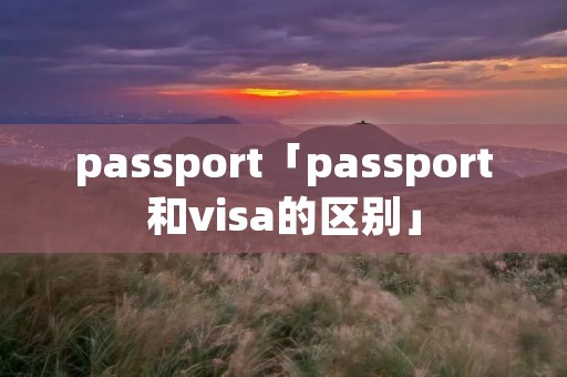 passport「passport和visa的区别」