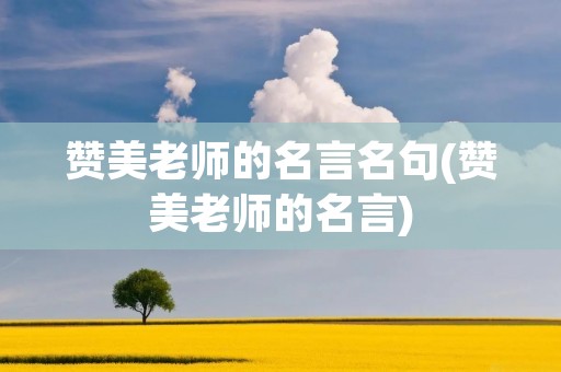 赞美老师的名言名句(赞美老师的名言)