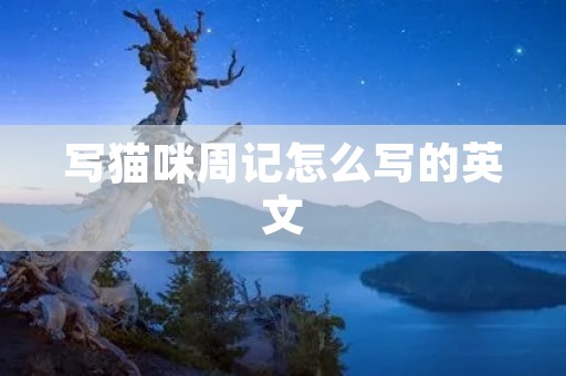 写猫咪周记怎么写的英文