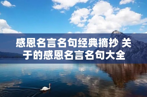 感恩名言名句经典摘抄 关于的感恩名言名句大全