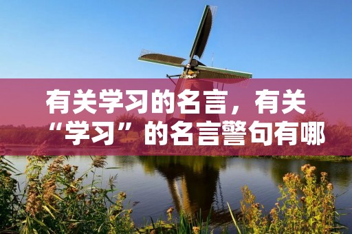 有关学习的名言,有关“学习”的名言警句有哪些 有关学习的名言,有关“学习”的名言警句有哪些