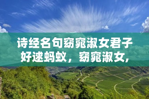 诗经名句窈窕淑女君子好逑蚂蚁,窈窕淑女,君子好逑。这句诗出自什么,全诗是什么
