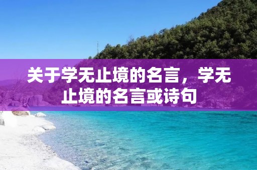 关于学无止境的名言,学无止境的名言或诗句