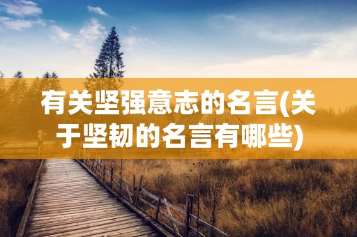有关坚强意志的名言(关于坚韧的名言有哪些)