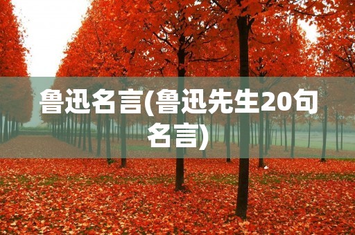 鲁迅名言(鲁迅先生20句名言)