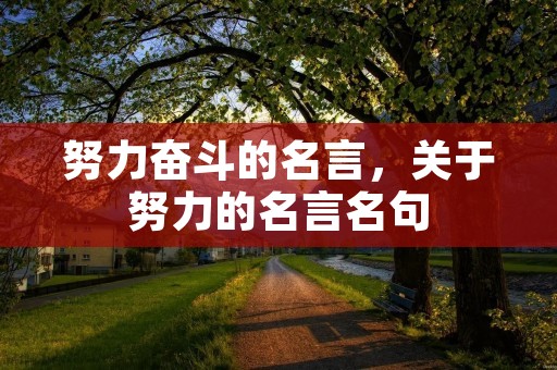 努力奋斗的名言，关于努力的名言名句