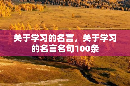 关于学习的名言，关于学习的名言名句100条