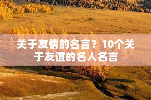 关于友情的名言？10个关于友谊的名人名言