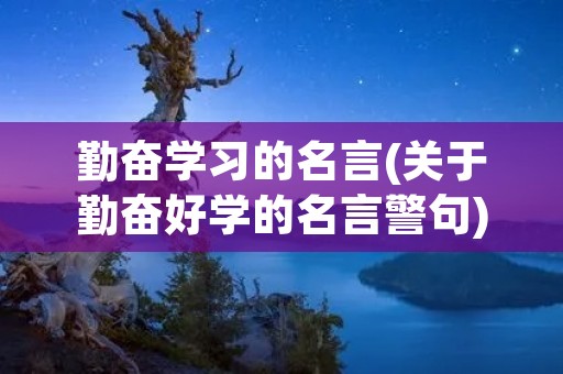 勤奋学习的名言(关于勤奋好学的名言警句)