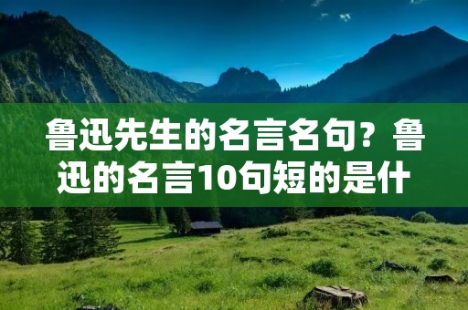 鲁迅先生的名言名句？鲁迅的名言10句短的是什么