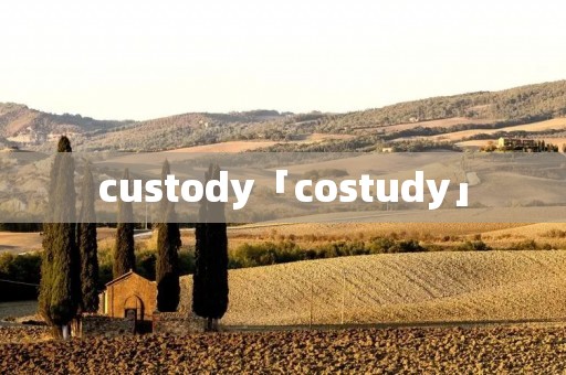 custody「costudy」