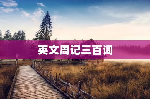 英文周记三百词