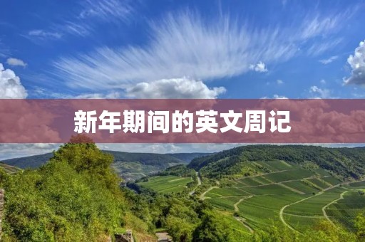 新年期间的英文周记