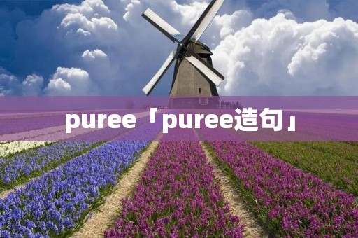 puree「puree造句」