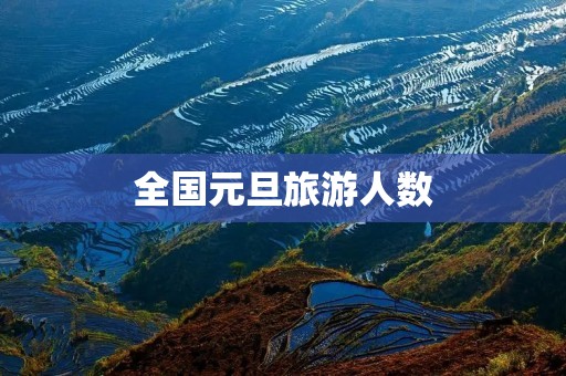 全国元旦旅游人数