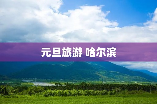 元旦旅游 哈尔滨