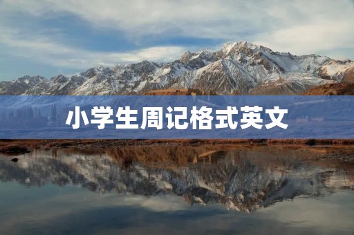小学生周记格式英文