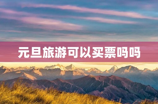 元旦旅游可以买票吗吗